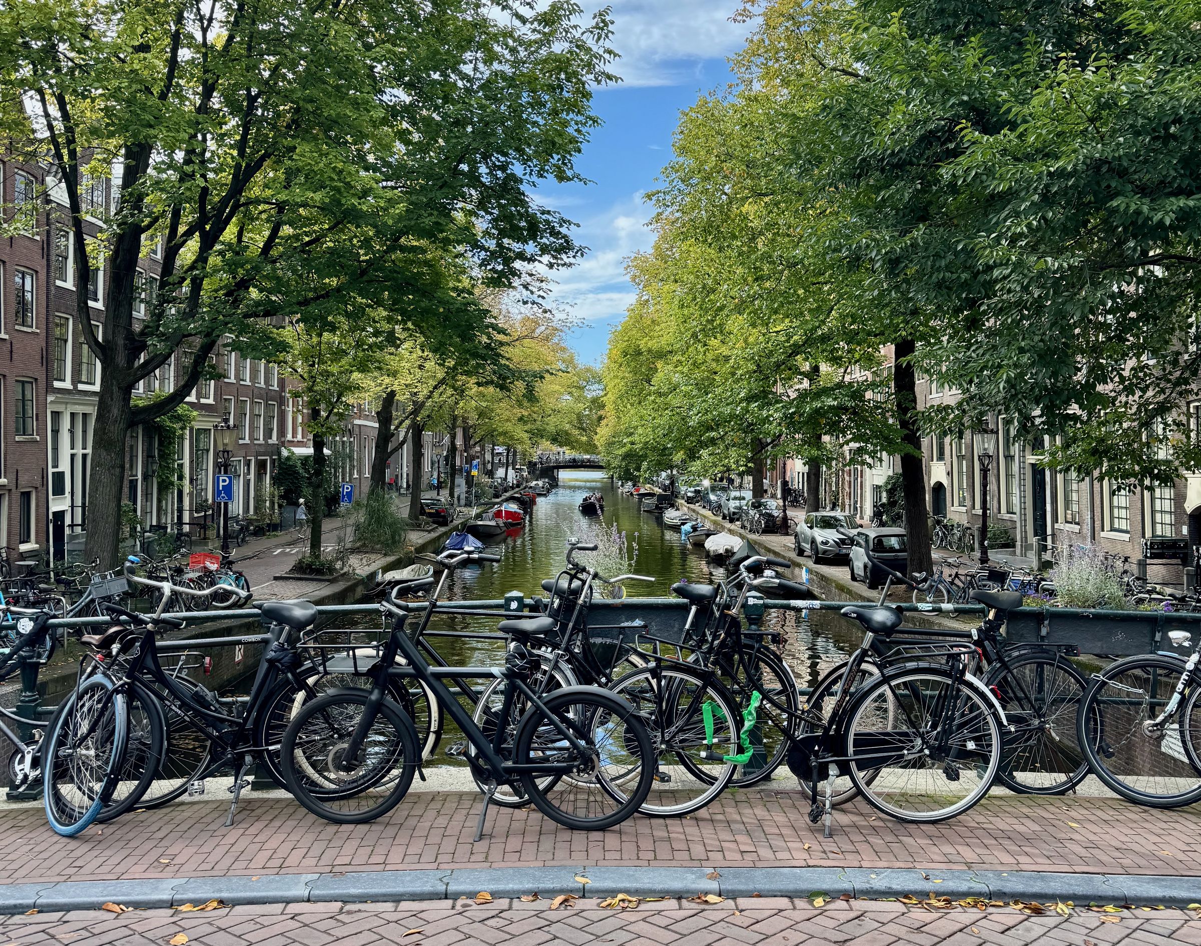 Hard to pick just one photo of one canal but here I go.