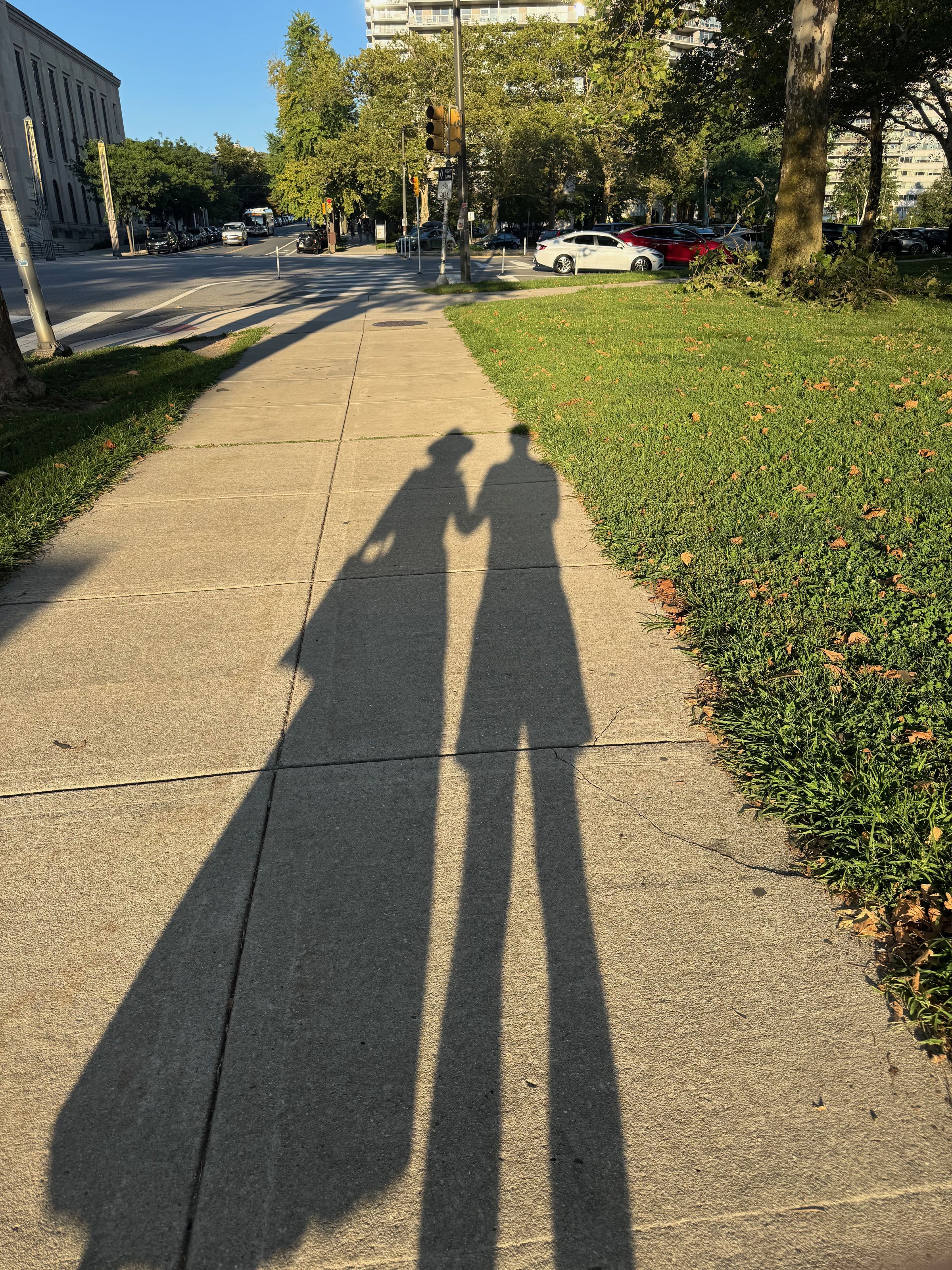 Though I prefer finding shade to creating it.