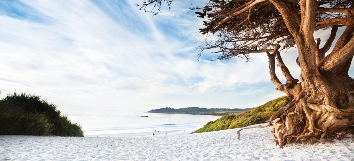 Carmel Beach vibes; Credit: City of Carmel